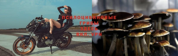 прущие крисы Волоколамск