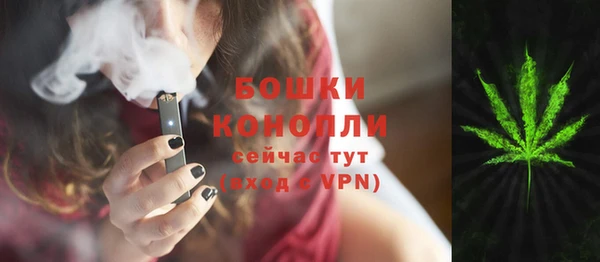 прущие грибы Володарск