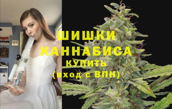прущие грибы Володарск