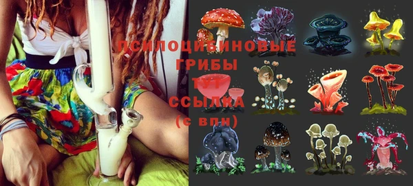 прущие крисы Волоколамск