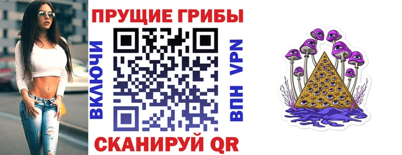 Псилоцибиновые грибы прущие грибы  Купить  Могоча 
