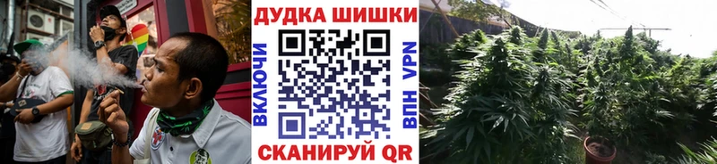 Каннабис гибрид  Купить закладки  Могоча 